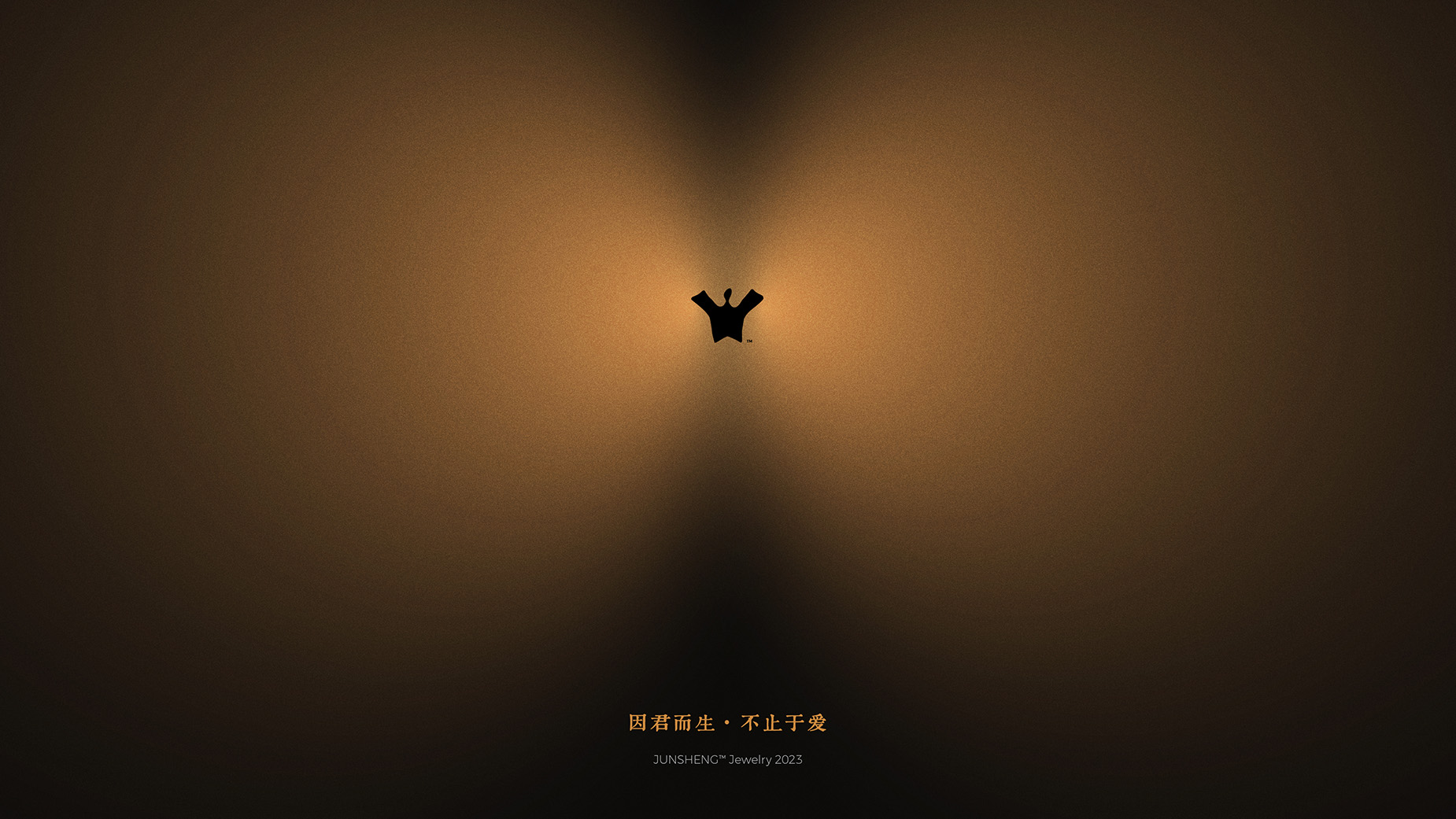 Single Image